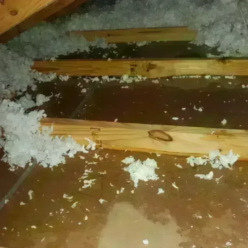 Attic Water Damage in Vincentown, NJ